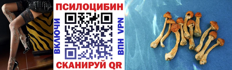 KRAKEN ТОР  Новотитаровская  Галлюциногенные грибы Magic Shrooms 